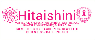 HITAISHINI LOGO
